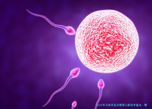 2025年马来西亚试管婴儿新技术盘点：哪些真正提高了成功率？