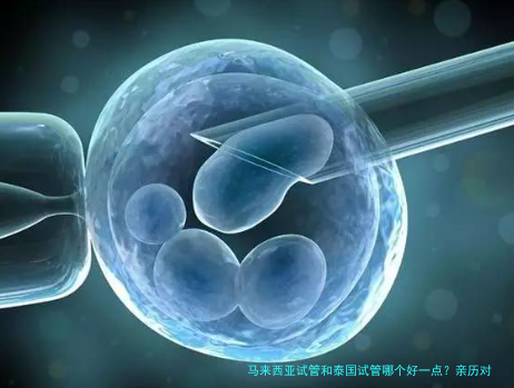 马来西亚试管和泰国试管哪个好一点?亲历对比告诉你真相