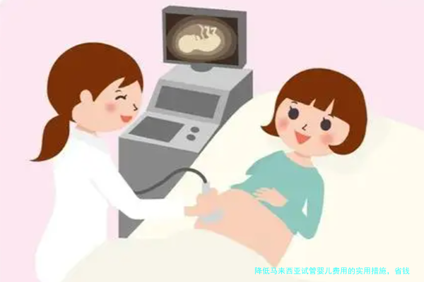 降低马来西亚试管婴儿费用的实用措施，省钱又省心