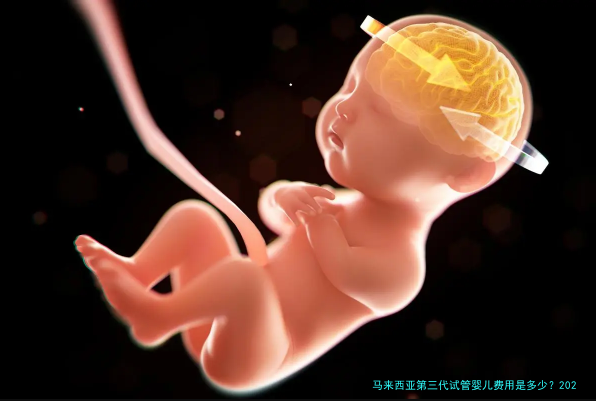 马来西亚第三代试管婴儿费用是多少？2025年最新价格明细与避坑指南