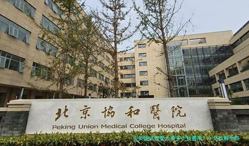 去美国试管婴儿要多少钱费用？一文拆解全部开销，附真实案例