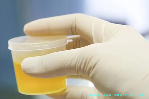去马来西亚试管婴儿需要多少费用呢？一篇讲透所有花销
