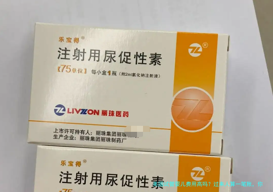 美国试管婴儿费用高吗？过来人算一笔账，你心里就有底了