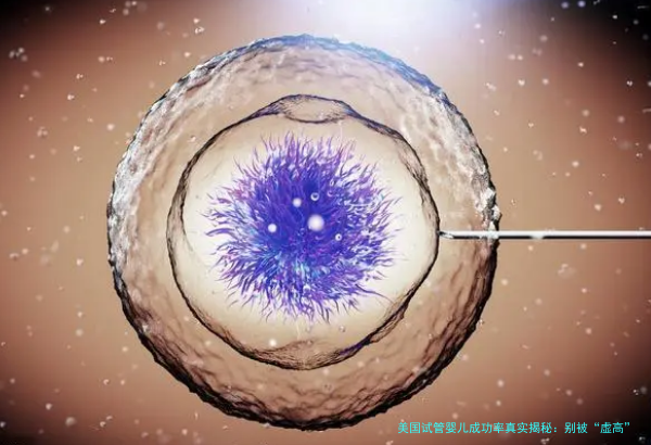 美国试管婴儿成功率真实揭秘：别被&ldquo;虚高&rdquo;数字骗了