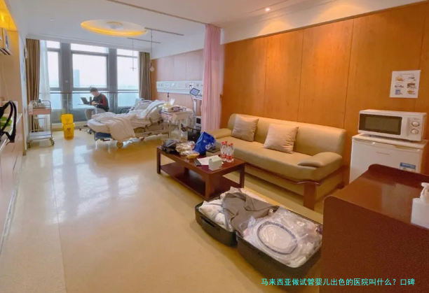 马来西亚做试管婴儿出色的医院叫什么?口碑与技术兼备的都在这