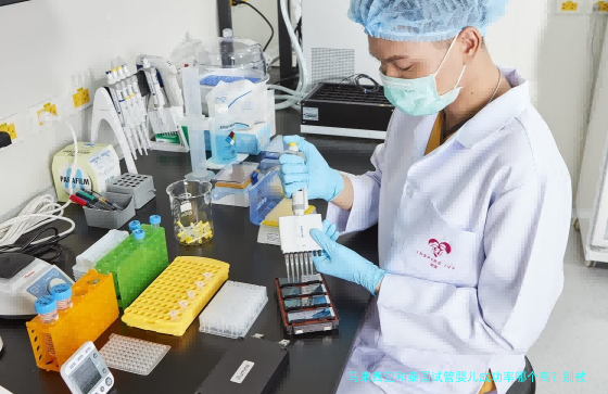 马来西亚和泰国试管婴儿成功率哪个高?别被数字骗了,关键看这几点