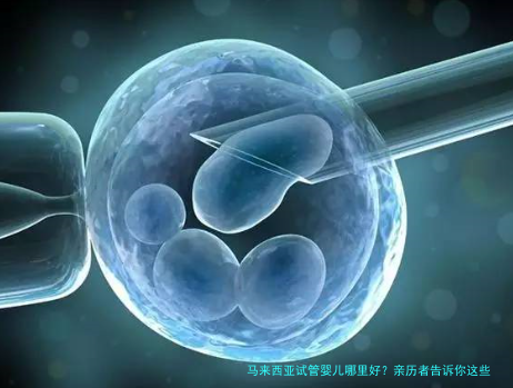 马来西亚试管婴儿哪里好？亲历者告诉你这些医院值得选