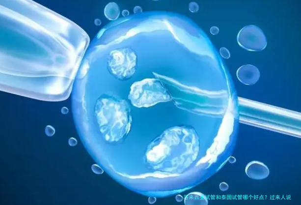马来西亚试管和泰国试管哪个好点?过来人说说真实感受
