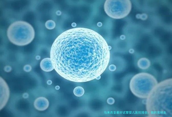 马来西亚最好试管婴儿医院排名:我的实地走访和真实体验分享
