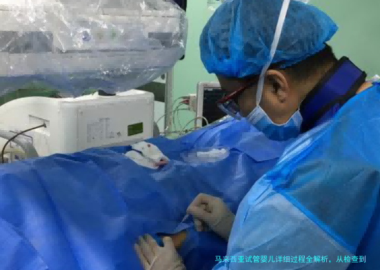 马来西亚试管婴儿详细过程全解析,从检查到移植一篇讲透