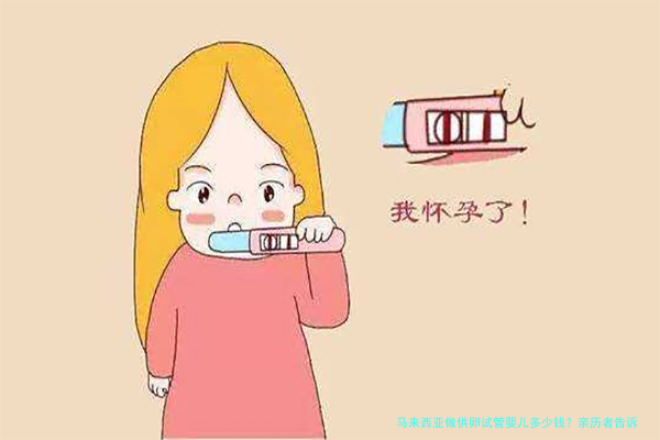 马来西亚做供卵试管婴儿多少钱?亲历者告诉你真实费用与避坑指南