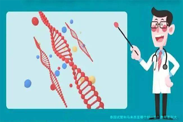 泰国试管和马来西亚哪个好一些?费用差别大不大?一文说清楚