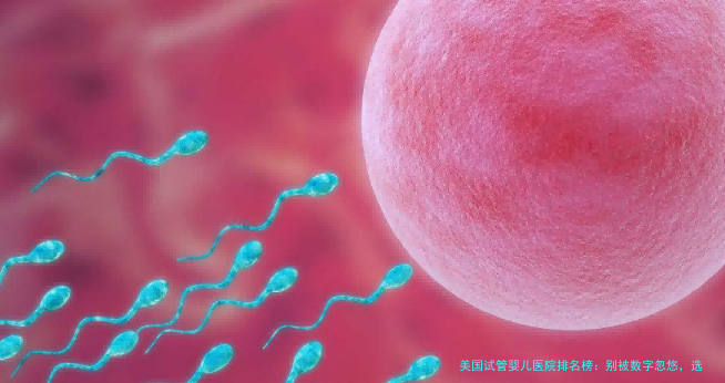美国试管婴儿医院排名榜:别被数字忽悠,选对才是关键