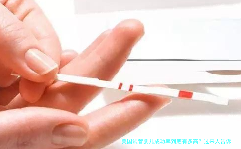 美国试管婴儿成功率到底有多高?过来人告诉你真实数据