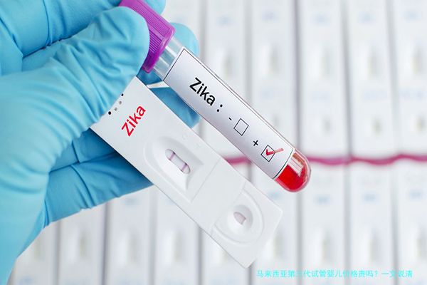 马来西亚第三代试管婴儿价格贵吗?一文说清费用明细与性价比