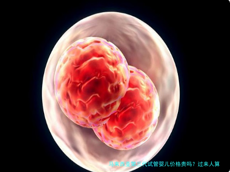 马来西亚第三代试管婴儿价格贵吗?过来人算笔账给你看