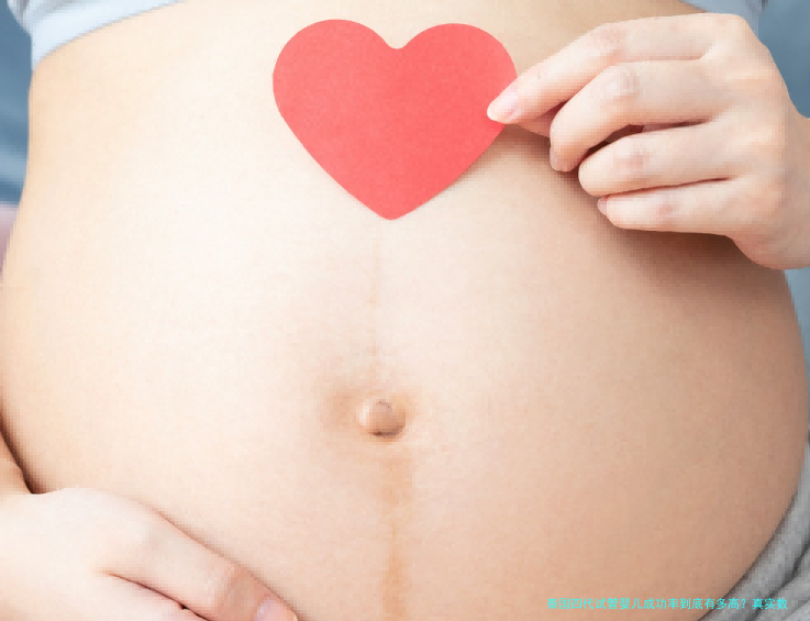 泰国四代试管婴儿成功率到底有多高?真实数据与分析
