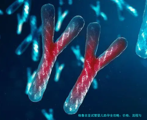 格鲁吉亚试管婴儿助孕全攻略：价格、流程与真实经历分享