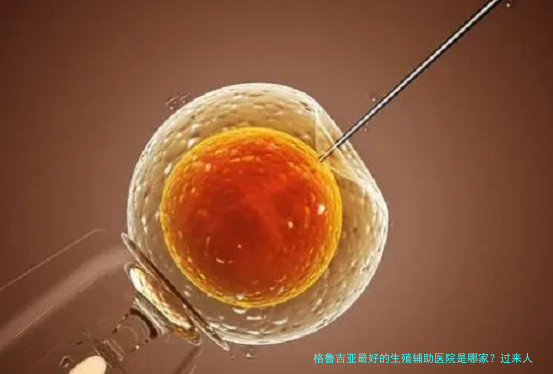 格鲁吉亚最好的生殖辅助医院是哪家?过来人说出大实话