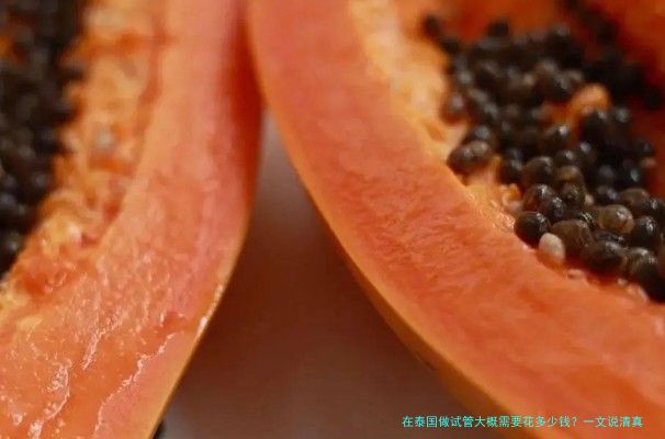 在泰国做试管大概需要花多少钱?一文说清真实费用