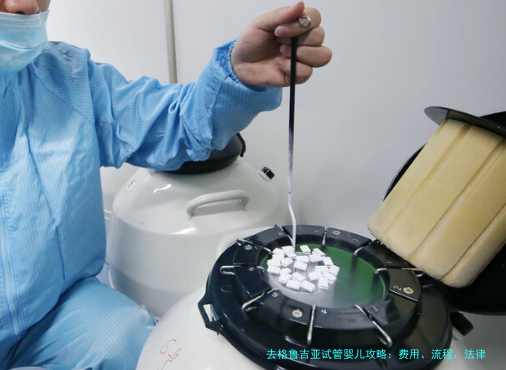 去格鲁吉亚试管婴儿攻略:费用、流程、法律,一次说明白
