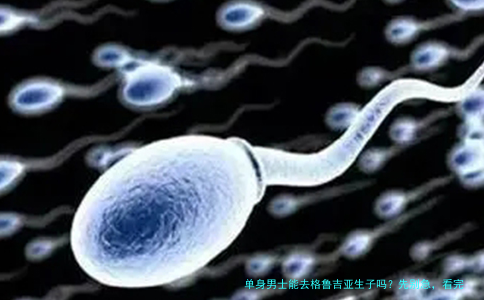 单身男士能去格鲁吉亚生子吗？先别急，看完这篇再决定