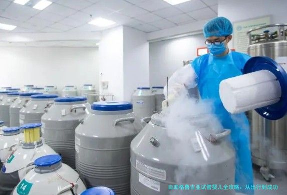 自助格鲁吉亚试管婴儿全攻略:从出行到成功,一篇讲透
