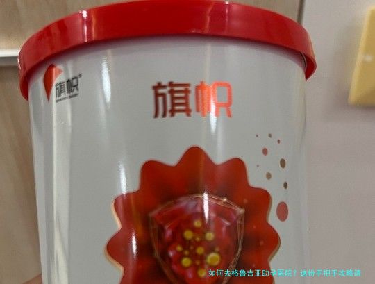 如何去格鲁吉亚助孕医院？这份手把手攻略请收好