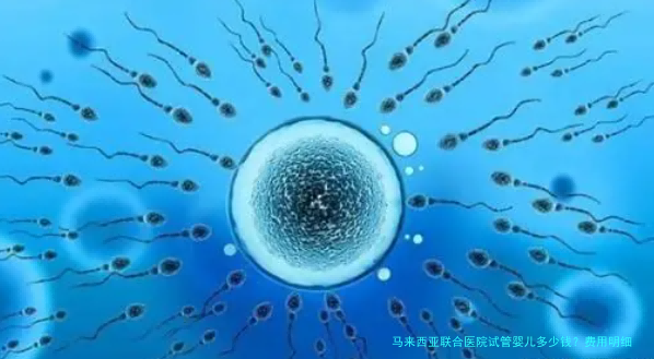马来西亚联合医院试管婴儿多少钱?费用明细与过来人建议