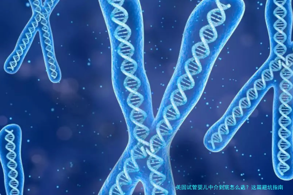 美国试管婴儿中介到底怎么选?这篇避坑指南建议收藏