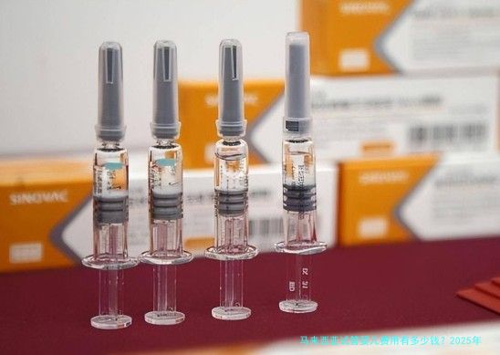 马来西亚试管婴儿费用有多少钱？2025年真实费用明细与省钱避坑指南