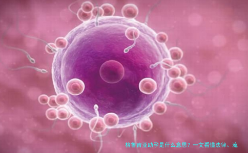 格鲁吉亚助孕是什么意思？一文看懂法律、流程和风险