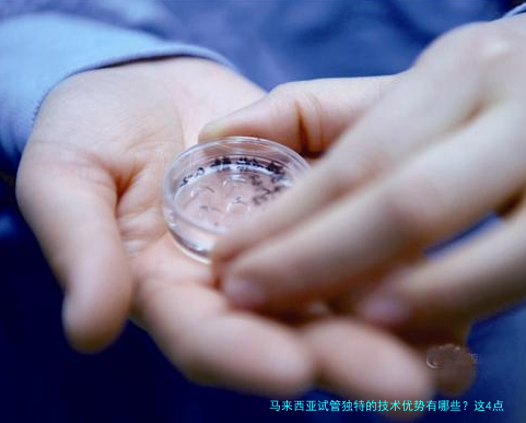 马来西亚试管独特的技术优势有哪些？这4点，国内医院真比不了