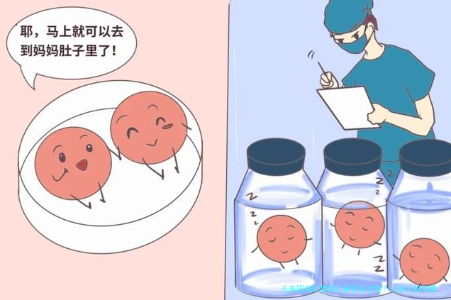 去泰国做试管婴儿要花多少钱?过来人给你算笔账