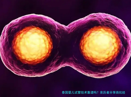 泰国婴儿试管技术靠谱吗?亲历者分享绕坑经验和真实费用