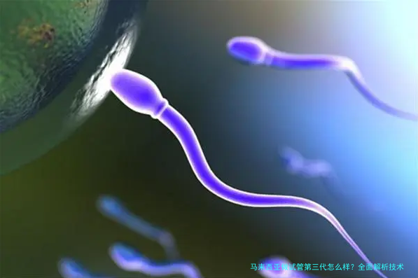 马来西亚做试管第三代怎么样？全面解析技术、费用与成功率