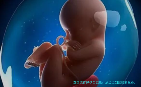 泰国试管好孕全记录:从忐忑到迎接新生命,这些经验想分享给你