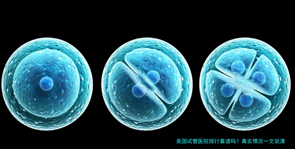 美国试管医院排行靠谱吗?真实情况一文说清