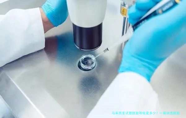 马来西亚试管胚胎等级是多少?一篇讲透胚胎评级那点事