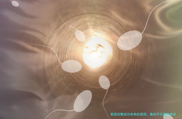 泰国试管成功率高的原因，真的不只是技术好这么简单