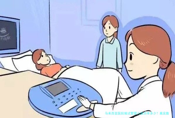 马来西亚医院做试管婴儿成功率多少？真实数据与亲身经历告诉你