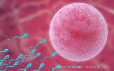 格鲁吉亚助孕骗局曝光:中介套路深,小心人财两空