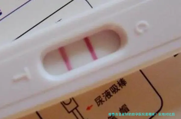 格鲁吉亚最好的助孕医院是哪家?实地对比后才知道的真相