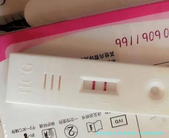 单身女性去马来西亚做试管?先别急着订机票,这些真相你得知道