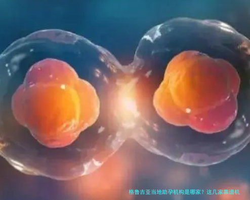 格鲁吉亚当地助孕机构是哪家？这几家靠谱机构值得一看