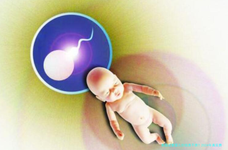 泰国试管婴儿价钱贵不贵？2024年真实费用与省钱经验分享