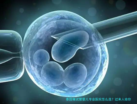 泰国做试管婴儿专业医院怎么选?过来人给你说点大实话