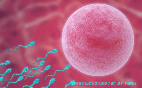 去格鲁吉亚试管婴儿要多少钱?最新详细费用与避坑指南