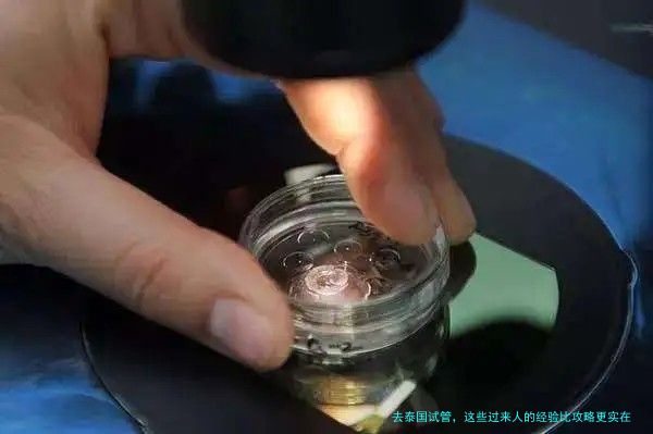 去泰国试管,这些过来人的经验比攻略更实在