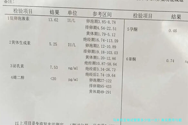 马来西亚做试管要多少钱一次？真实费用与避坑指南